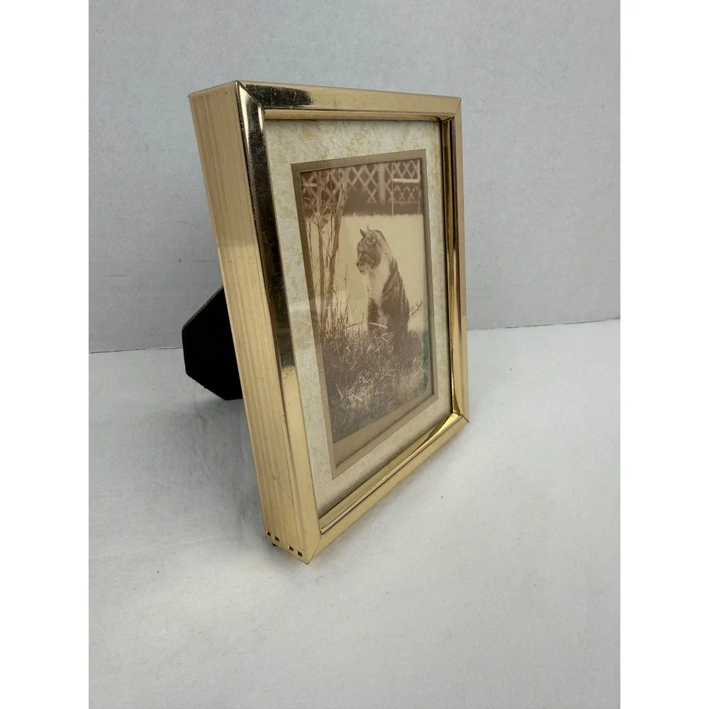 Vintage Sepia Cat Print in Gold Tone Metal Picture Frame 4.75 x 6.25